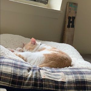 Meet your Posher, Jayme